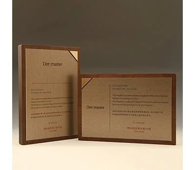 공로패 위촉패 퇴직 원목 상패 기념패