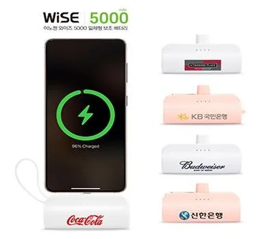 이노젠 와이즈 5000 도킹 일체형 보조배터리